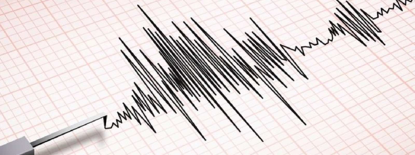 Four Tremors Along Mid-Indian Ridge; No SL Impact